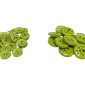 Saga 15 - 22mm 796