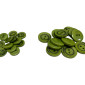 Saga 15 - 23mm 797