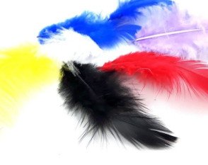 Decorative feathers