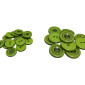 Saga 15 - 23mm 799