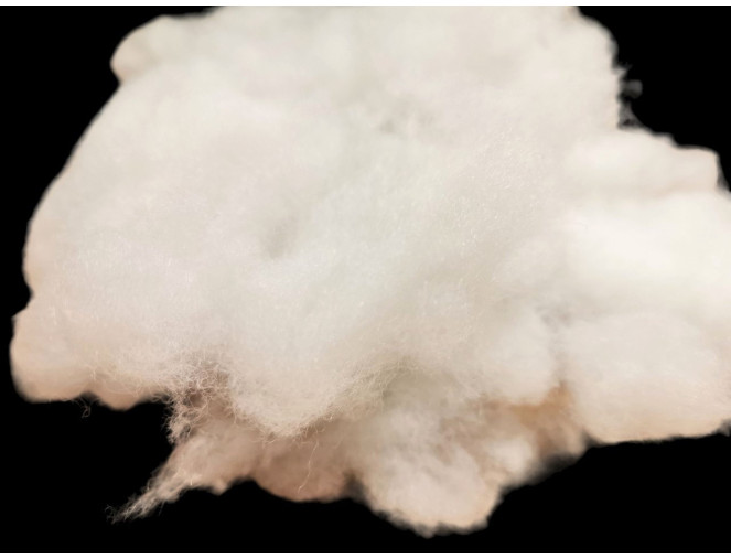 Sintepon cap 10 kg pigiau