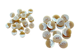 Saga 15 - 23mm 872