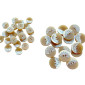 Saga 15 - 23mm 872