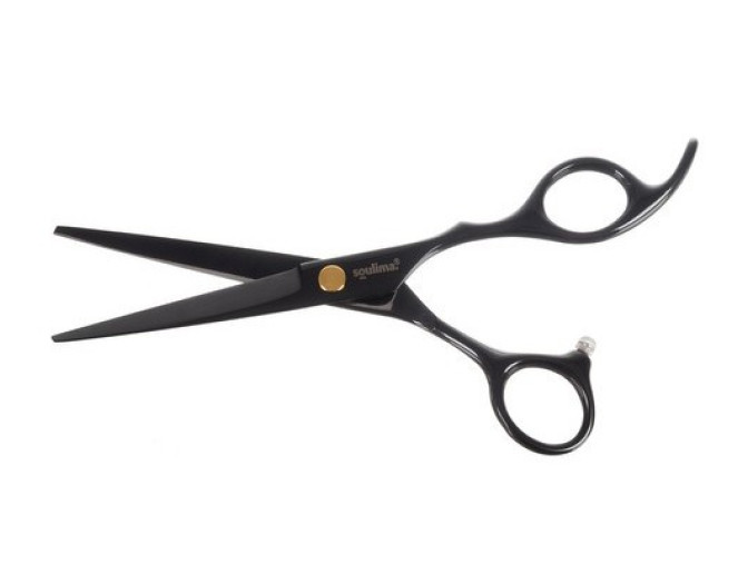 Hair clippers