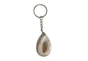 Raktų pakabukas Vabzdžio inkliuzas