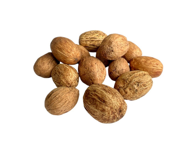 Artificial nut