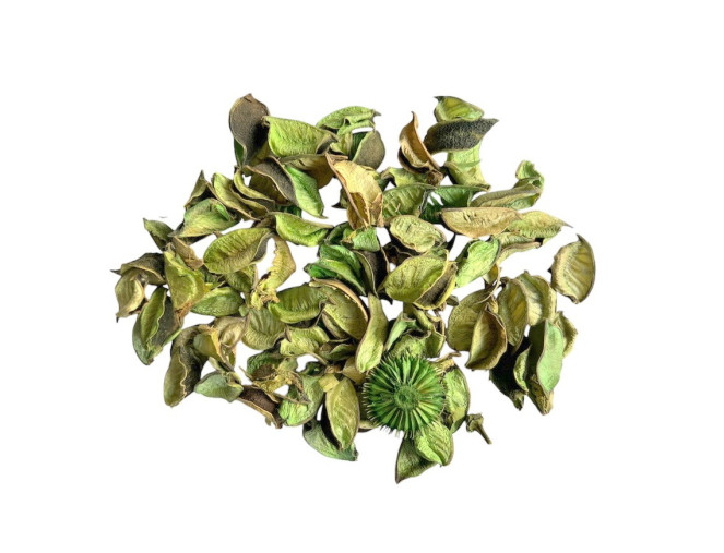 Ornamental dried leaves