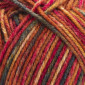 Yarn Art Vista 9204 pigiau