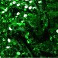 Fabric with scales Green