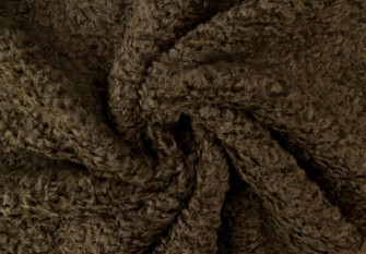 Curly Teddy coat Brown