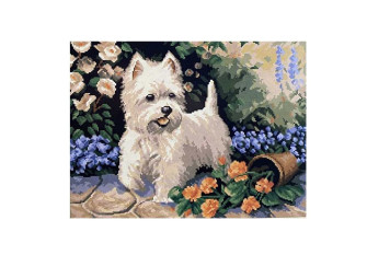 Embroidery painting with thread 40x50cm White Puppy