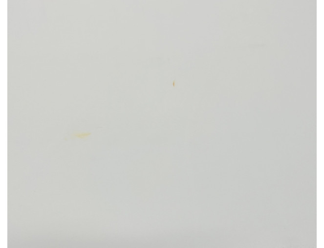 Neoprene White skubus pristatymas