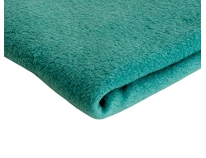 Fleece Power Station