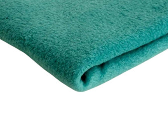 Fleece Power Station