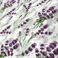 Cotton - canvas Lavender in white pigiau