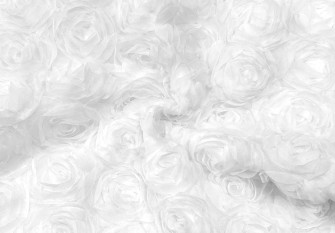 Tulle with roses White