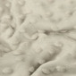 Minky fabric Light beige