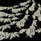 Applique Fine flower branches | 2 colours pigiau