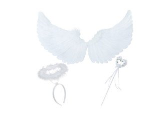 Angel costume