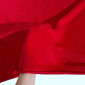 Fleur de lis Red internetu