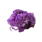 Wool curls 10gr. | 5 colours