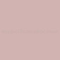 Gipiūras Dusty pink pristatymas per 1-4 d.d.
