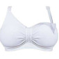 Breast inserts (pair) pigiau
