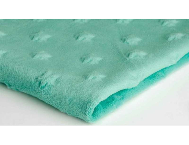 Minky audinys Mėtinis