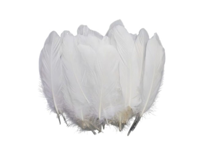 Decorative feathers, 50 pieces, white
