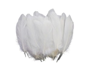 Decorative feathers, 50 pieces, white