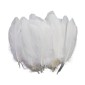 Decorative feathers, 50 pieces, white