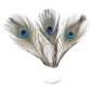 5 White Decorative Peacock Feathers pigiau