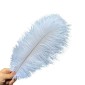 5 Decorative Thrush Feathers, White