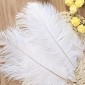 5 Decorative Thrush Feathers, White pigiau