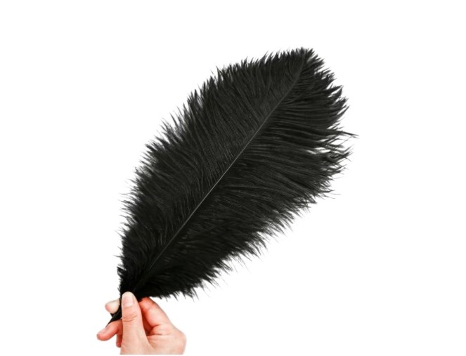 Decorative black thrush feathers, 5 pieces