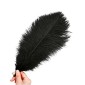 Decorative black thrush feathers, 5 pieces
