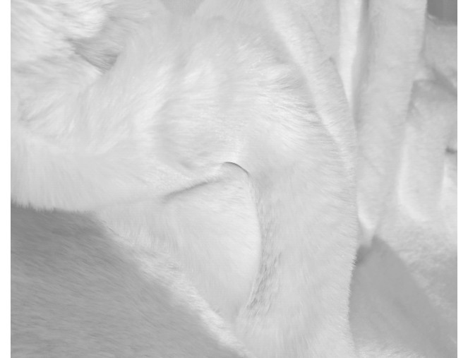 Faux Fur, White internetu