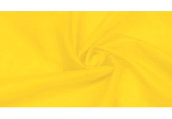 Remnant of Yellow Lining No. 15
