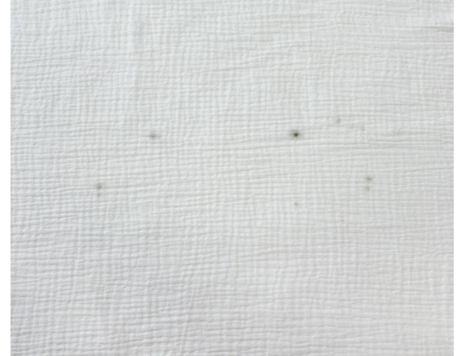 White Muslin, BROKEN pristatymas per 1-4 d.d.