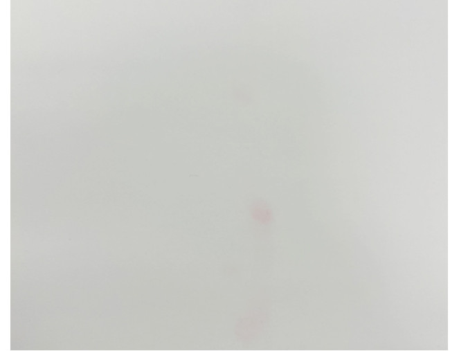 Neoprenas Ekru BROKUOTAS pigiau