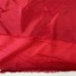 Red Lining Remnant No. 79 pigiau