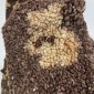 Teddy fabric, Brown Bears, 320 g/sq. m. internetu