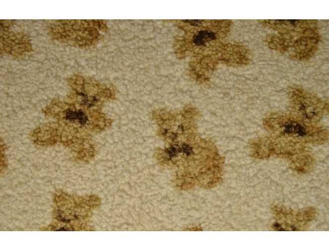Teddy audinys rulonas 30m pigiau
